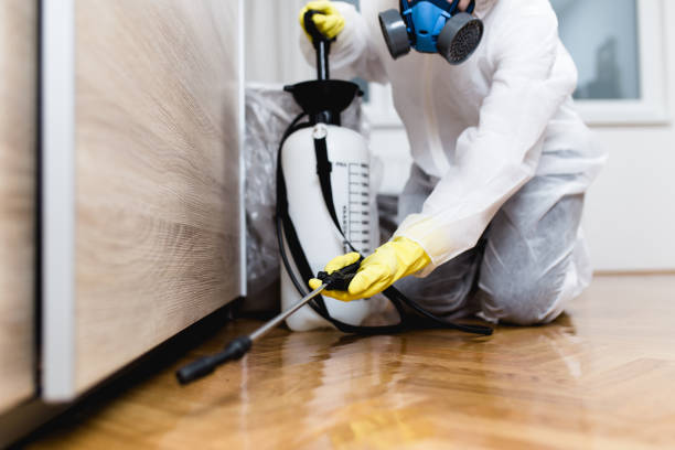 Best Pest Prevention Services  in Ofallon, IL