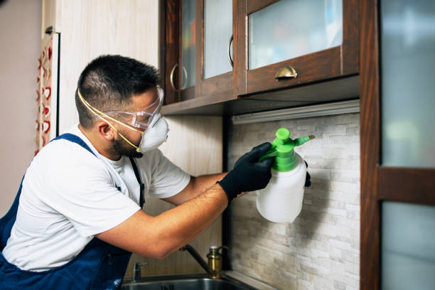 Best Pest Removal Services  in Ofallon, IL