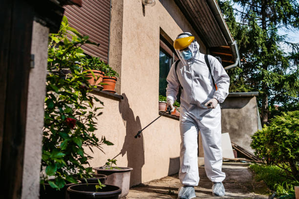 Best Rat Extermination Near Me  in Ofallon, IL