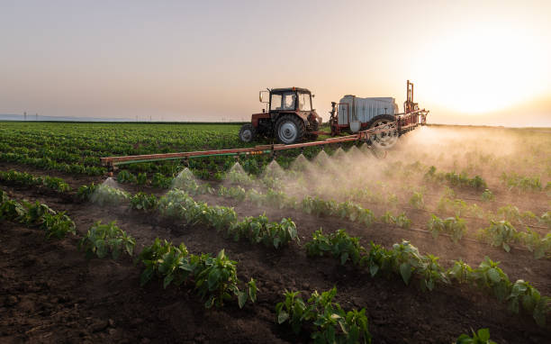 Best Pest Removal Services  in Ofallon, IL
