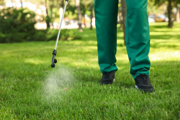 Best Pest Inspection Near Me  in Ofallon, IL