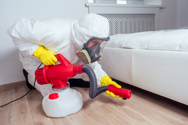 Best Bed Bug Extermination  in Ofallon, IL