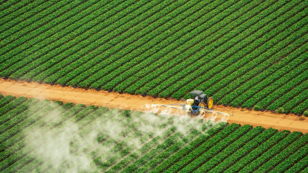 Best Cockroach Control Services  in Ofallon, IL