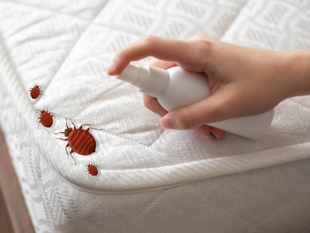 Flea Control Services in Ofallon, IL
